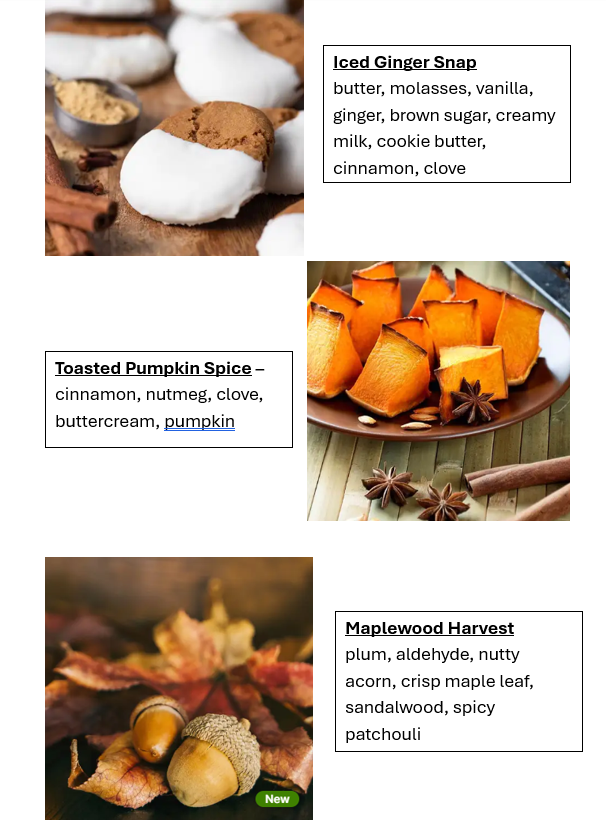Fall Scents Wax Melt Bundle (12pk)