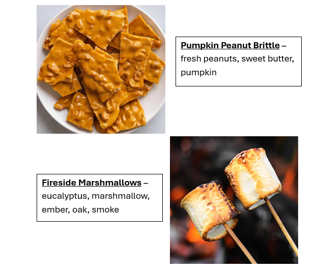 Fall Scents Singles Wax Melt Bundle (12pk)
