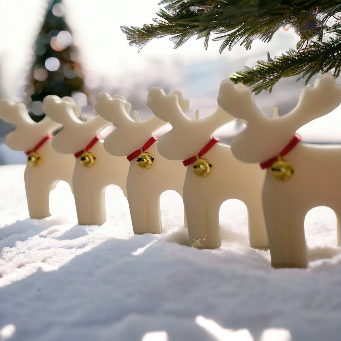 Elk Scented Soy Wax Candle In Giftbox