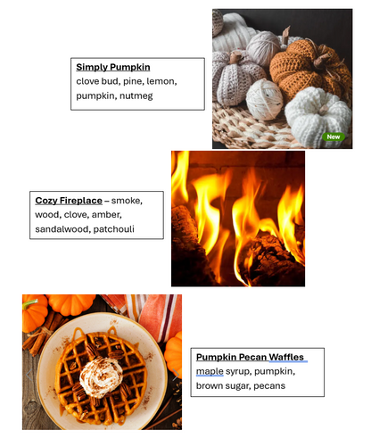 Fall Scents Wax Melt Bundle (12pk)