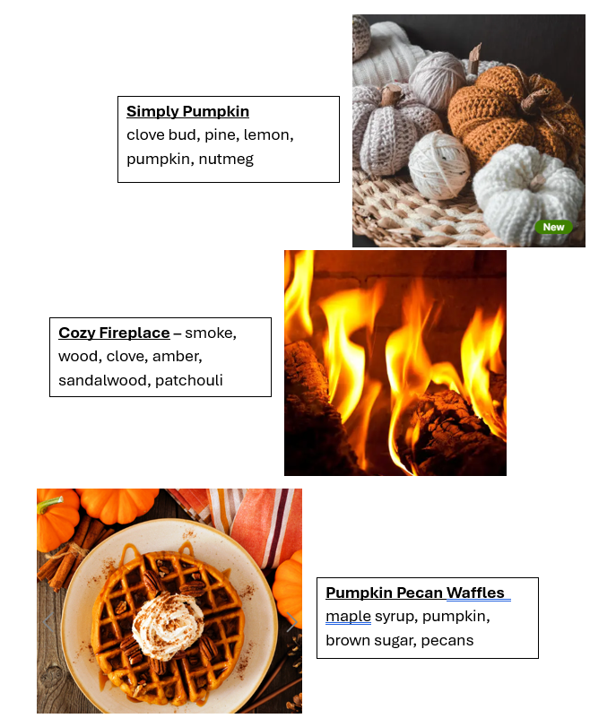 Fall Scents Wax Melt Bundle (12pk)