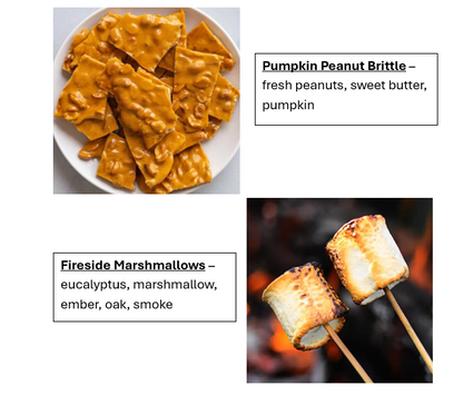 Fall Scents Singles Wax Melt Bundle (12pk)