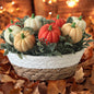Pumpkin Patch Woven Basket