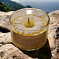 Daisy's Soy Candle